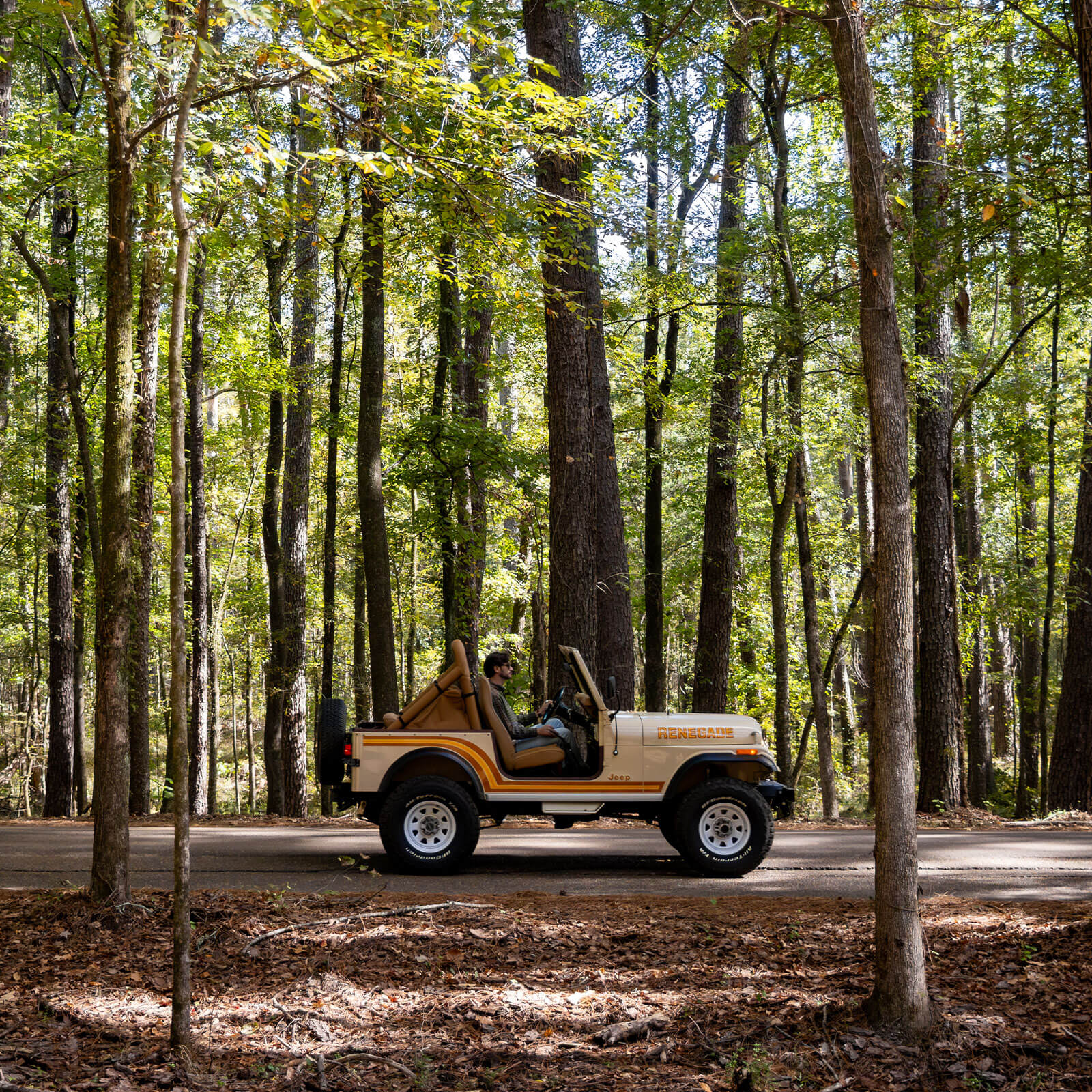 A vintage jeep driving through a forest road.