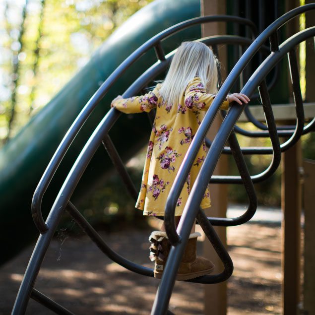 The Playground