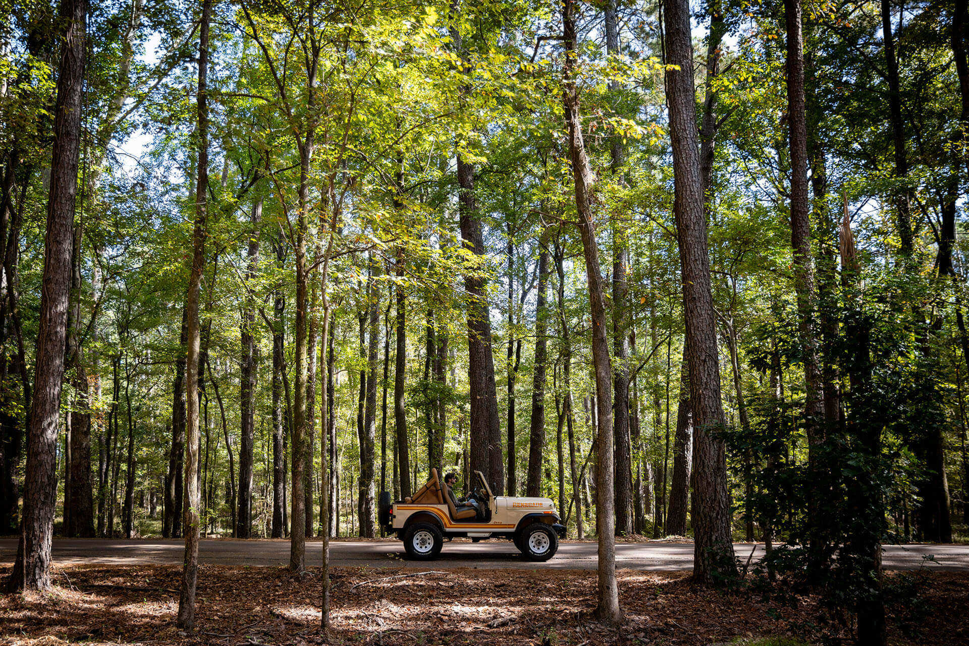 A vintage jeep driving through a forest road.